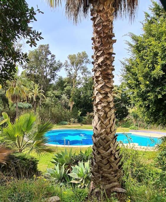 Soleado Apartamento Golf Y A 900 M De La Playa Benalmádena Zewnętrze zdjęcie